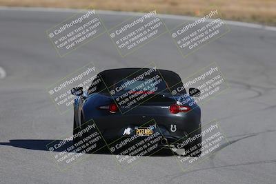 media/Nov-19-2023-Extreme Speed (Sun) [[bd0eec5490]]/Purple/Back Shots/